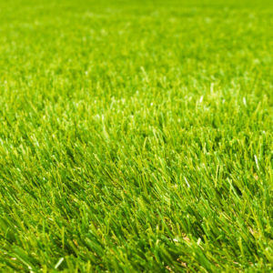 Artificial Grass Grimsby