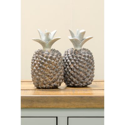 Pineapple Art Medium