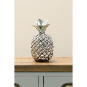 Pineapple Art
