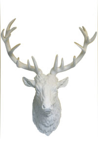 Stag White