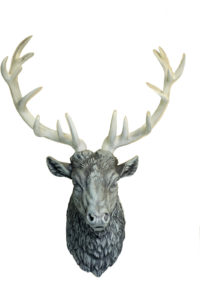 Stag Grey