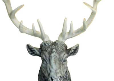 Stag Grey
