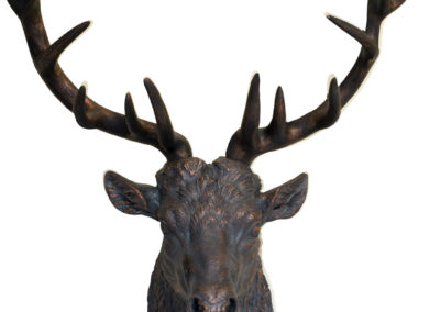 Stag Bronze
