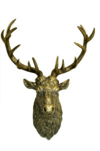 Stag Gold